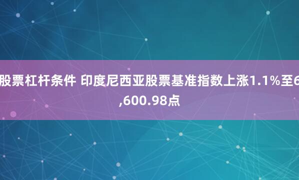 股票杠杆条件 印度尼西亚股票基准指数上涨1.1%至6,600.98点