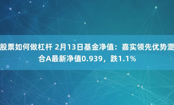 股票如何做杠杆 2月13日基金净值：嘉实领先优势混合A最新净值0.939，跌1.1%