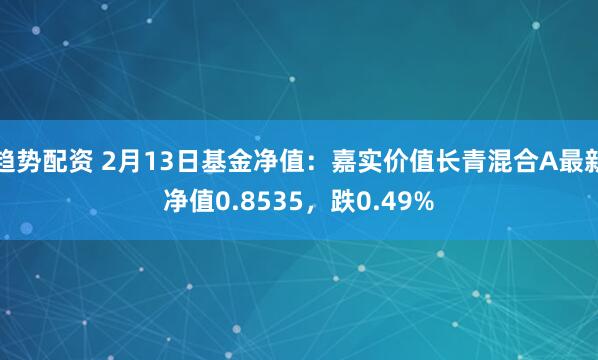 趋势配资 2月13日基金净值：嘉实价值长青混合A最新净值0.8535，跌0.49%