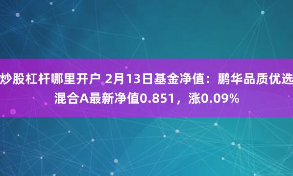 炒股杠杆哪里开户 2月13日基金净值：鹏华品质优选混合A最新净值0.851，涨0.09%