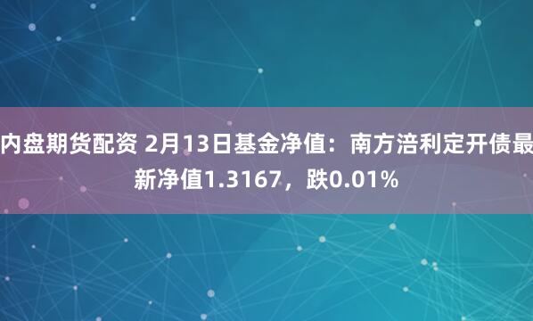 内盘期货配资 2月13日基金净值：南方涪利定开债最新净值1.3167，跌0.01%