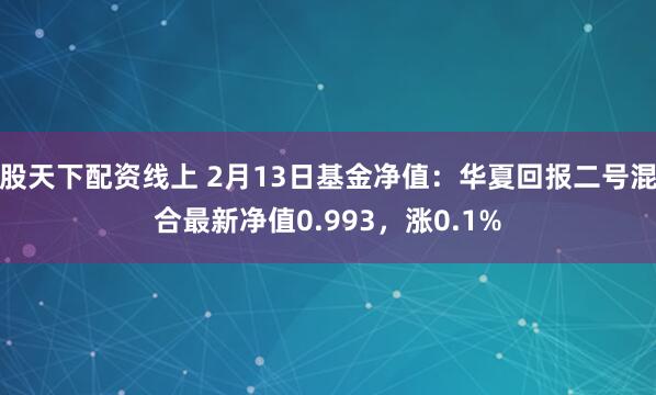 股天下配资线上 2月13日基金净值：华夏回报二号混合最新净值0.993，涨0.1%