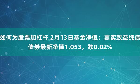 如何为股票加杠杆 2月13日基金净值：嘉实致益纯债债券最新净值1.053，跌0.02%