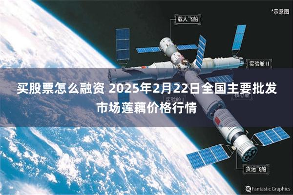 买股票怎么融资 2025年2月22日全国主要批发市场莲藕价格行情