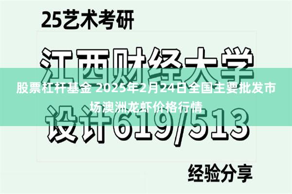 股票杠杆基金 2025年2月24日全国主要批发市场澳洲龙虾价格行情