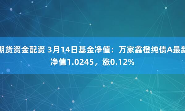 期货资金配资 3月14日基金净值：万家鑫橙纯债A最新净值1.0245，涨0.12%